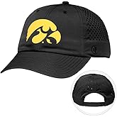 Desert Cactus Iowa Snapback Hat – BreezePro Performance Baseball Cap with Adjustable Strap Designed for Hawkeyes Fans (BP4)