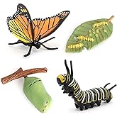 Butterfly Growth Cycle, Animal Growth Cycle Biological Model, Growth Stage Lifelike Butterfly Life Cycle Model Set for Kids Education Insect Themed Party Favors