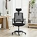 MBOO Ergonomic High Back Mesh Office Chair - Executive Computer Desk Task Chair with Adjustable Headrest and Armrests, Built-in Back Lumbar Support, Black