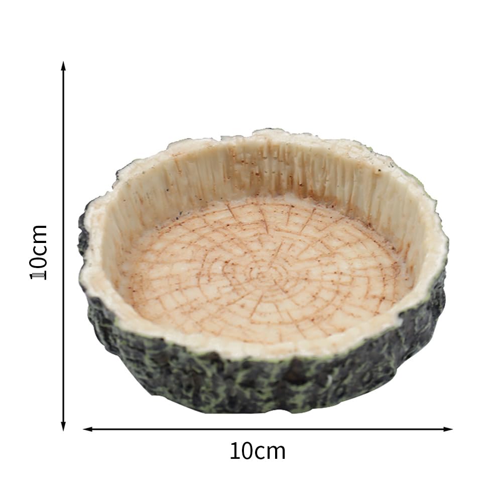 View 5