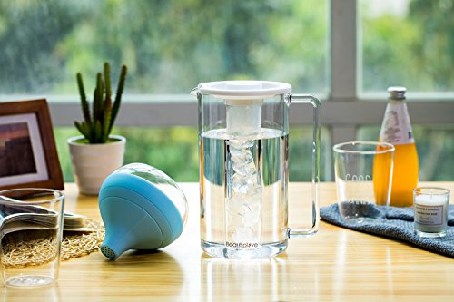 Beautiplove Water Filter Pitcher with Portable Water Filter & Ice Tube Infuser