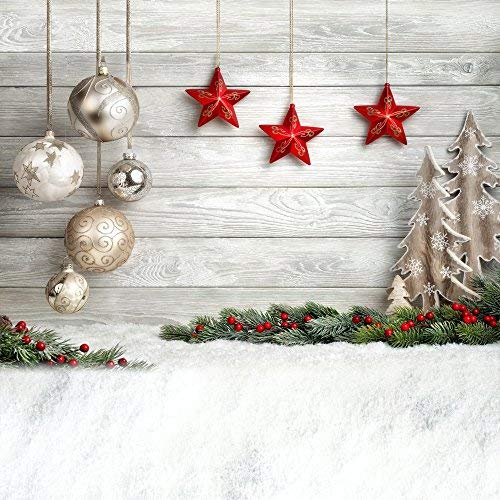 christmas newborn photography