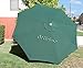BELLRINO DECOR Replacement HUNTER GREEN STRONG & THICK Umbrella Canopy for 9ft 8 Ribs Hunter Green (Canopy Only)