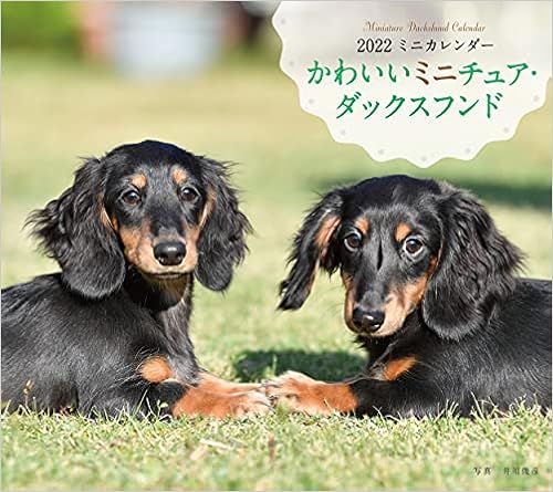 22年 カレンダー かわいいミニチュア ダックスフンド 誠文堂新光社カレンダー 井川 俊彦 本 通販 Amazon