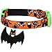 Blueberry Pet Halloween Mystery Disguise Classic Designer Adjustable Dog Collar with Decoration, Large, Neck 18
