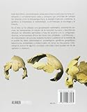 Image de Evolución humana / human Evolution: El camino de nuestra especie / The Road to Our Species (Spanish Edition)
