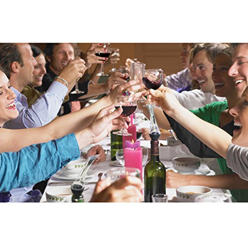HotLife Premium Wine Aerator Pourer - Wine Decanter Spout and Best Wine Pourer - Thumbnail 5