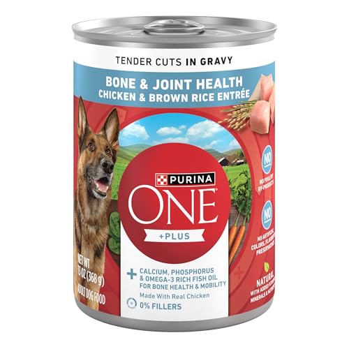 Purina ONE Tender Cuts Bone & Joint ​​Chicken & Brown Rice Wet Dog Food - 13 oz…