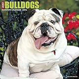 2016 Just Bulldogs Wall Calendar