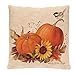GBSELL Pillow Cover Owl Thanksgiving Turkey Cock Hen Pillow Case Sofa Throw Cushion Cover Home Decor,45cm45cm