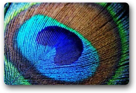 Top Fabric &amp; Non-Slip Rubber Indoor/Outdoor Doormat Door Mats - Beautiful Peacock Feather Pattern Floor Mat Rug for Home/Office/Bedroom