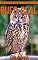Livro Bufo-Real: Fotos Incríveis e Factos Divertidos sobre Bufo-Real para Crianças (Série Lembra-Te De Mim)