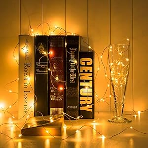 Lexton 10 m Copper String Light | Warm White | 10 m | Battery Powered | Battery not Included | for Indoor & Outdoor…