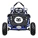 ZXTDR Electric Go Kart For Kids with Powerful 48v 1800w Brushless Motor (Blue)
