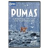 Nature: Pumas - Legends Of The Ice Mountains