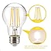 Leadleds A19 Dimmable LED Bulb, 6.5W Vintage Edison Style LED Filament Bulb, 3000K Warm White, E26 Medium Base, 810 Lumens, 70 Watt Incandescent Equivalent, 3-Pack