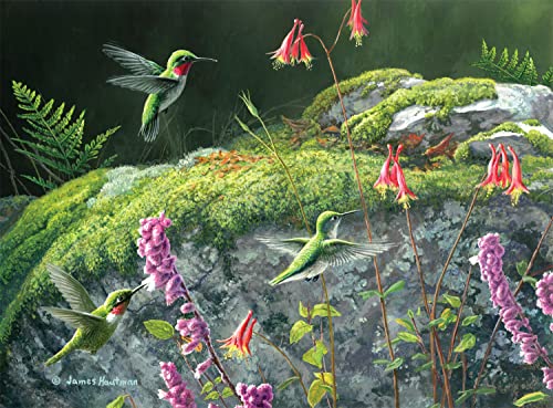 Buffalo Games - Jim Hautman - Dappled Hummingbirds - 1000 Piece Jigsaw Puzzle for Adults Challenging Puzzle Perfect for Game Nights - Finished Puzzle Size is 26.75 x 19.75