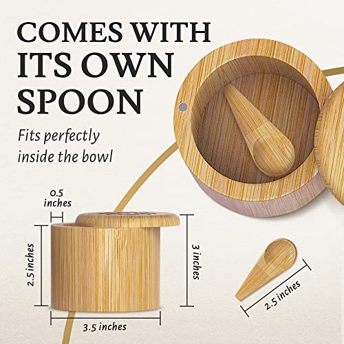 Scavyn Premium Bamboo Salt Container, Salt Cellar with Swivel
