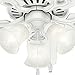 Hunter Fan Company, 52105, 42 inch Builder Snow White Ceiling Fan with LED Light Kit and Pull Chain