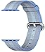 SELLERS360 New Nylon Watch Fine Woven Band Replacement Strap for Apple watch band Series 1 Series 2 iwatch (Tahoe Blue 42mm)