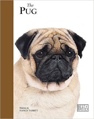 Pug: Pet Book (Best of Breed) �n�[�h�J�o�[  - 2011/7/1