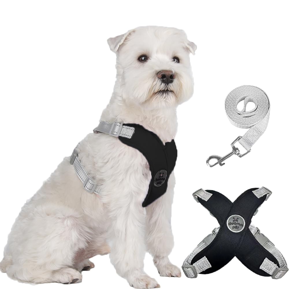Photo 1 of FEimaX Dog Harness Pet X Frame No Pull Step-in Harnesses with Leash Set, Adjustable Reflective Choke Free Puppy with Padded Vest for Small, Medium Dogs and Cats Walking Training