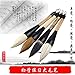Hbasyp Chinese Traditional Calligraphy Brush/Chinese Calligraphy Watercolor Sumi Drawing Brush-Large brush (Wool) - 1 Pcs