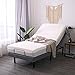 LEISUIT Adjustable Bed Frame with Back & Foot Massage, Wireless Remote Control, Memory Pre-Sets, Dual USB Ports, Zero-Gravity(Tool-Free Assembly) Twin XL