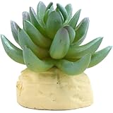 uxcell Green Plastic Cactus Plant Terrarium Reptile Tank Habitat Decor for Reptiles