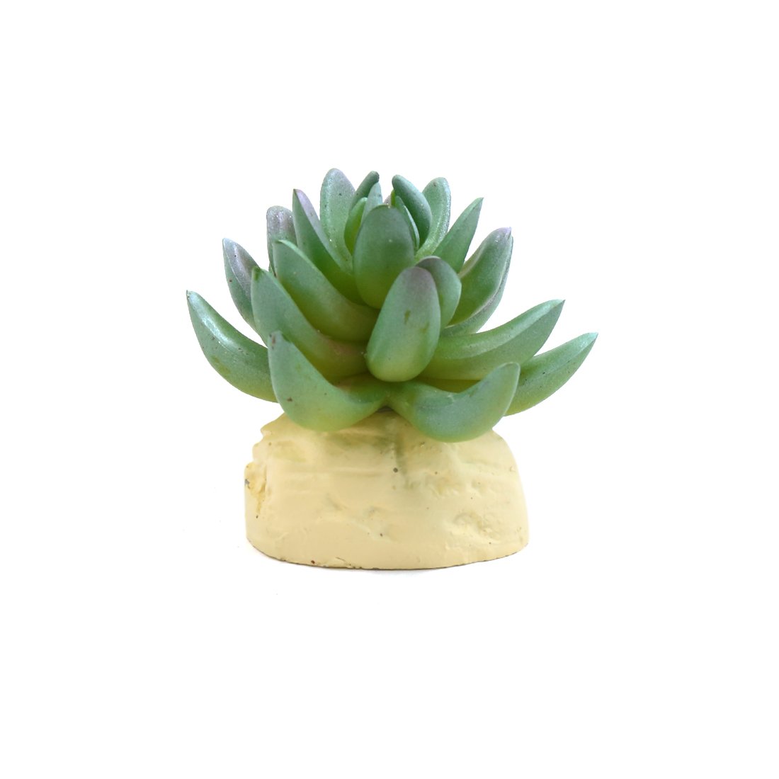 sourcing map Green Plastic Cactus Plant Terrarium Reptile Tank Habitat Decor for Reptiles