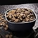 CRAVE Grain Free Adult High Protein Natural Dry Cat Food with Protein from Salmon & Ocean Fish 4 lb