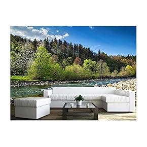 Wall26 - Landscape with Forest River and Stones - Wall Mural - 66x96 inches