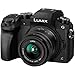 Panasonic Lumix DMC-G7 4K Wi-Fi Digital Camera & 14-42mm Lens (Black) with 32GB Card + Backpack + Battery + Flex Tripod + Filters + Tele/Wide Lens Kit