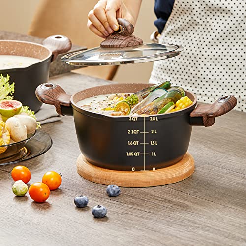 Ecowin Stock Pot with Lid 3 Quart, Nonstick Cooking Soup Pasta Pot