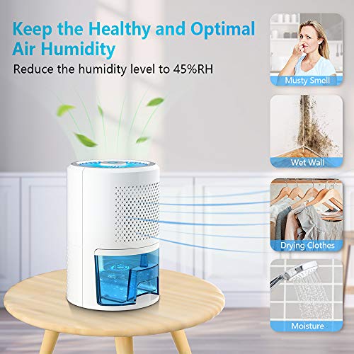 1 LONOVE+Dehumidifiers+Upgraded+Bathroom+Dehumidifier