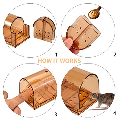 4 Authenzo+Upgraded+Version+Humane+Release