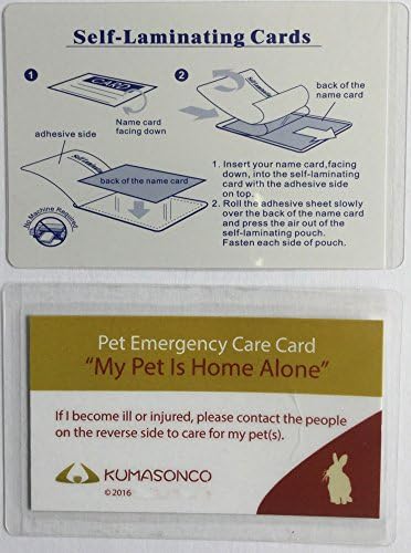 Pet Emergency Care Cards with Laminating Pouches Rabbit (Pack of 2)