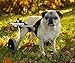 K9 Carts Dog Wheelchair (Small) - Made in The USA