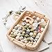 HAO JIE Baby Silicone Beads Wooden Teething Toys Toddler Teether Food Grade Elephant Pendant Wooden Rings DIY Necklace Teething Kit Boy Gifts