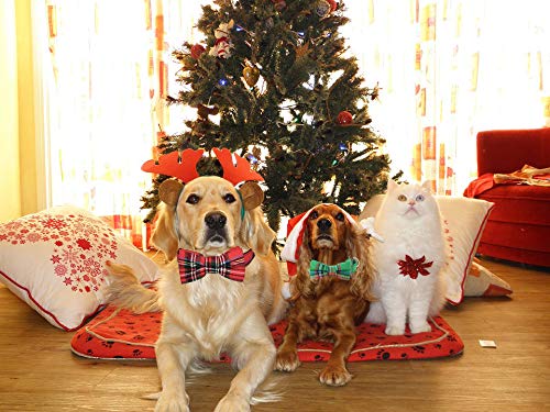 image for Malier Dog Collar with Bow tie Christmas Classic Plaid Dog Collar with