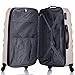 Rockland Melbourne Hardside Expandable Spinner Wheel Luggage, Gold Wave, Carry-On 20-Inch