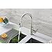Decor Star TPC11-TB Contemporary 16