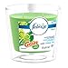 Febreze Candle Gain Original, 4Ct (Old Version)