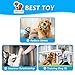 SOKUTOM Dog Toys-Dog Rope Toys for Small Medium Dogs and Puppy, Teething, Tug of War - Tough Dog Toys, Set of 7-Piece Assortment