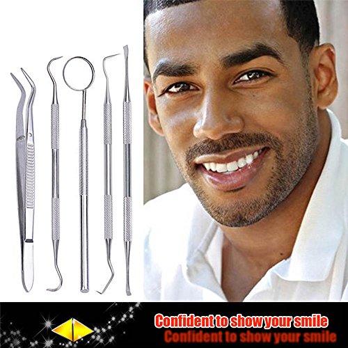 Lautechco Professional 5 in 1 Stainless Dental Tool Set Kit Teeth Care