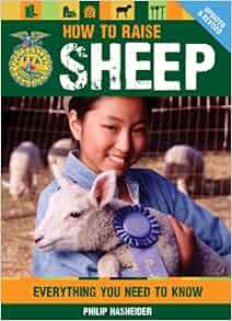 How To Raise Sheep Everything You Need To Know Ffa