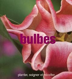 Bulbes