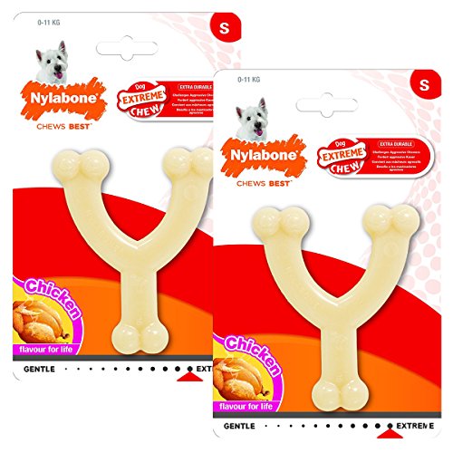 List of the Top 8 puppy nylabone wishbone you can buy in 2020 Sideror