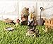 Juvale Fairy Garden Accessories Kit -10-Piece Miniature Gnome and Mushroom Figurines, Decorative Set for Lawn, Outdoor, Backyard, Front Patio, Home Decoration, Housewarming, Wedding Gift