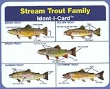 Ident-I-Cards Stream Trout Freshwater Fish